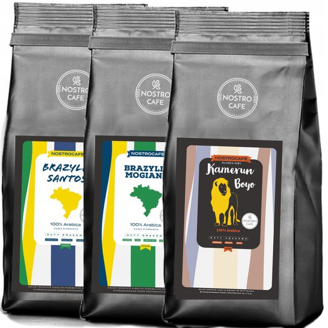 Kawa Ziarnista 3KG - SANTOS, MOGIANA, KAMERUN BOYO Kawa Ziarnista 3KG - SANTOS, MOGIANA, KAMERUN BOYO